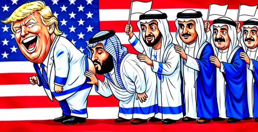 سمیرا 🟩الله 🟥 tweet media