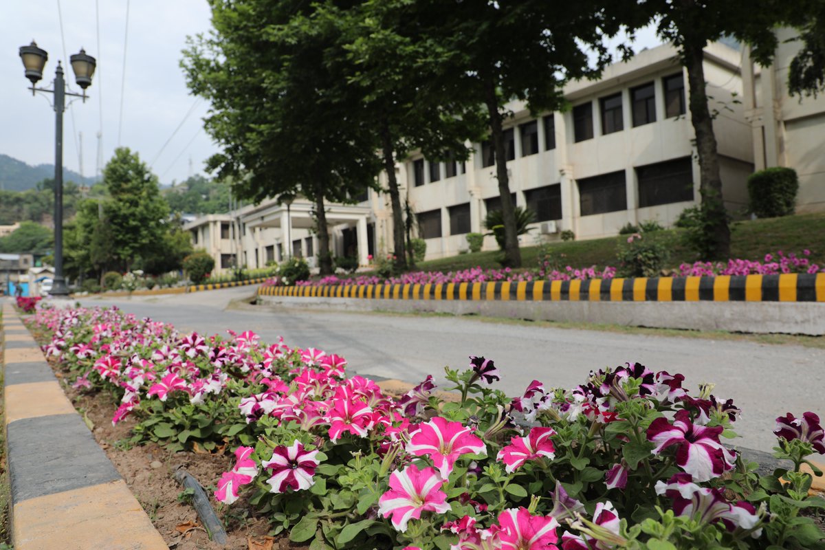 UAJK_Official's tweet image. The Admin Block at Chella Campus is dressed in spring’s finest hues 🌸✨ Delicate blossoms in full bloom transform the surroundings into a living canvas of renewal, beauty, and quiet grace at @UAJK_Official.
#UAJK #ChellaCampus #SpringVibes #AzadKashmir