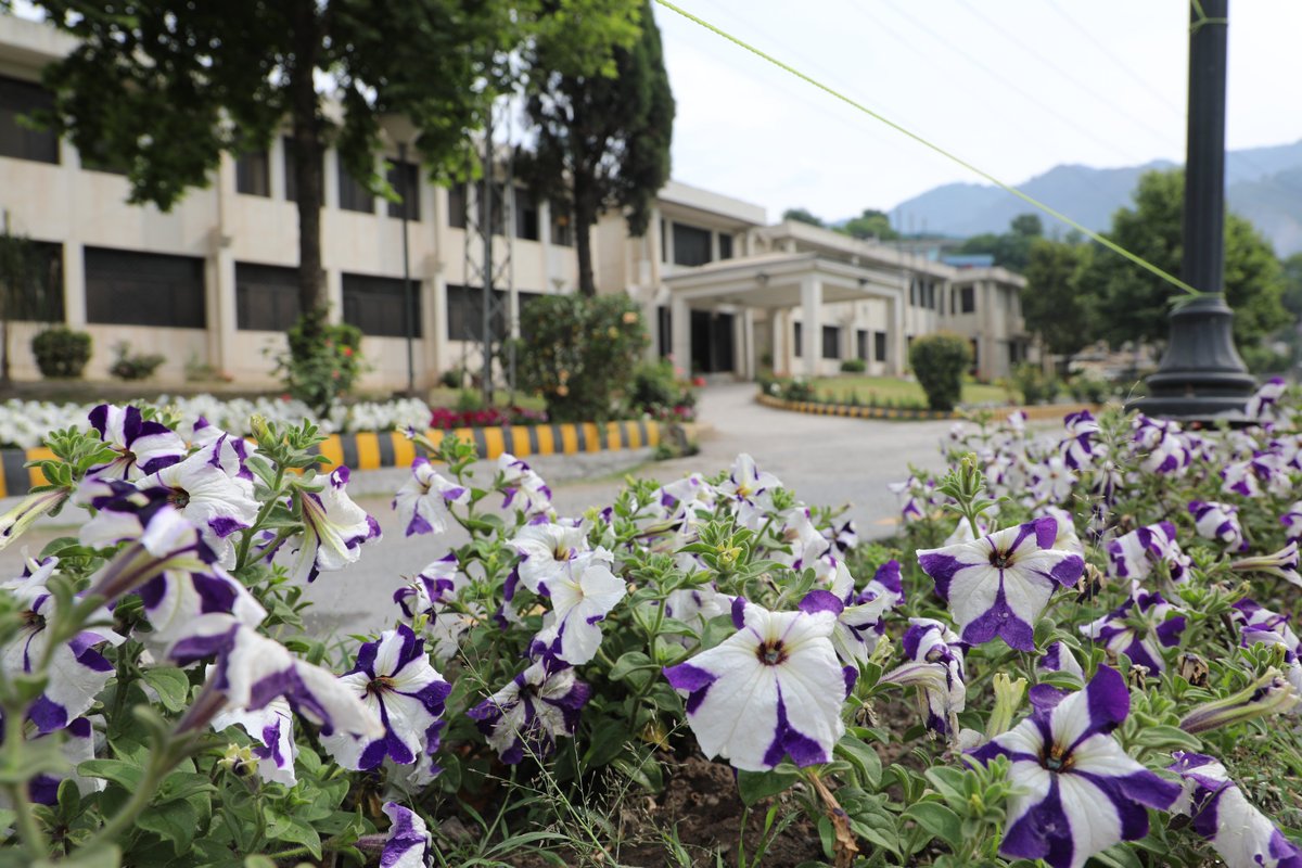 UAJK_Official's tweet image. The Admin Block at Chella Campus is dressed in spring’s finest hues 🌸✨ Delicate blossoms in full bloom transform the surroundings into a living canvas of renewal, beauty, and quiet grace at @UAJK_Official.
#UAJK #ChellaCampus #SpringVibes #AzadKashmir