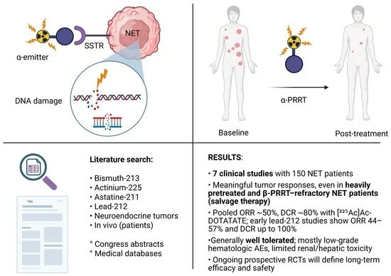 Pharmaceut_MDPI's tweet image. Welcome to read the #Published paper #Pharmaceuticals 

Clinical Experience with Targeted Alpha-Emitter Peptide Receptor Radionuclide Therapy (α-PRRT) for Somatostatin Receptor-Positive Neuroendocrine Tumors by Leupe et al.

Enjoy reading:
mdpi.com/1424-8247/18/1…