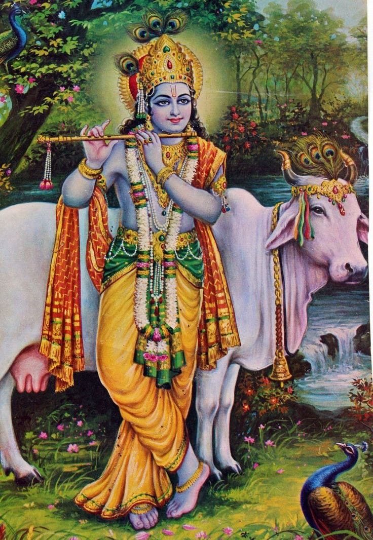 hourly krishna tweet media