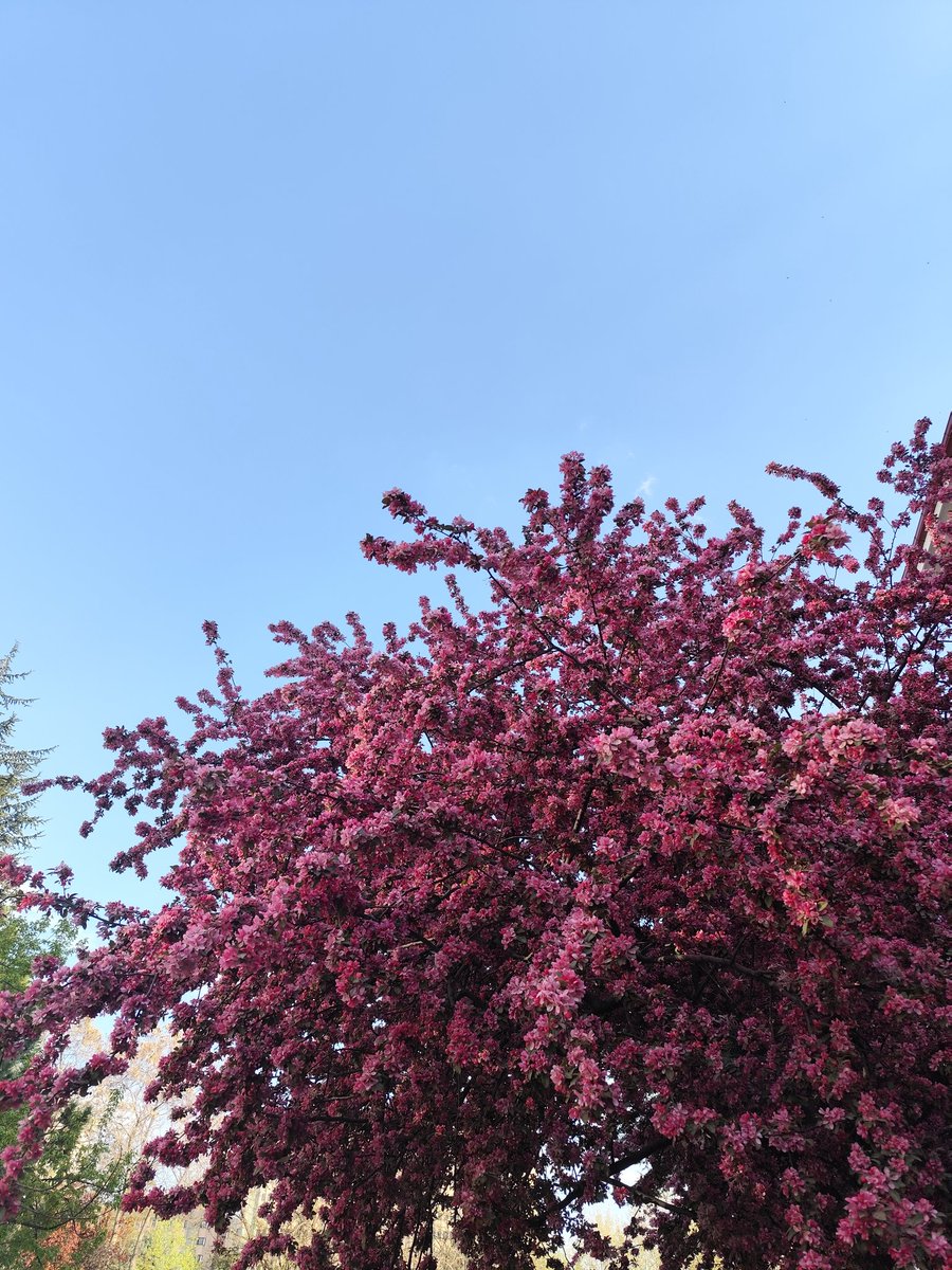 Paradox⭕️🔴 tweet media