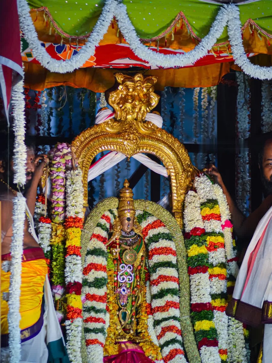 bryuceletation's tweet image. Day  ,10 🙏🏻🙏🏻  #Madurai சித்திரை திருவிழா 2026 🙌🏻💥

மதுரை மீனாட்சி அம்மன் கரம்பிடித்தார் சொக்கநாதர்🙏🏻🙌🏻 Happy Marriage life 💥

#Chithiraithiruvila 🙌🏻💙 #Ak