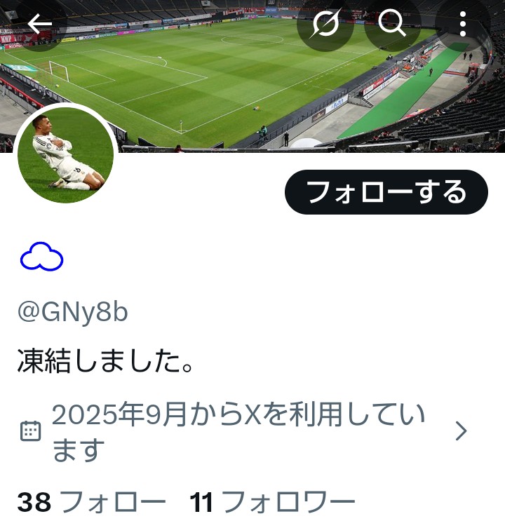 鳥の飛翔通信社 tweet media
