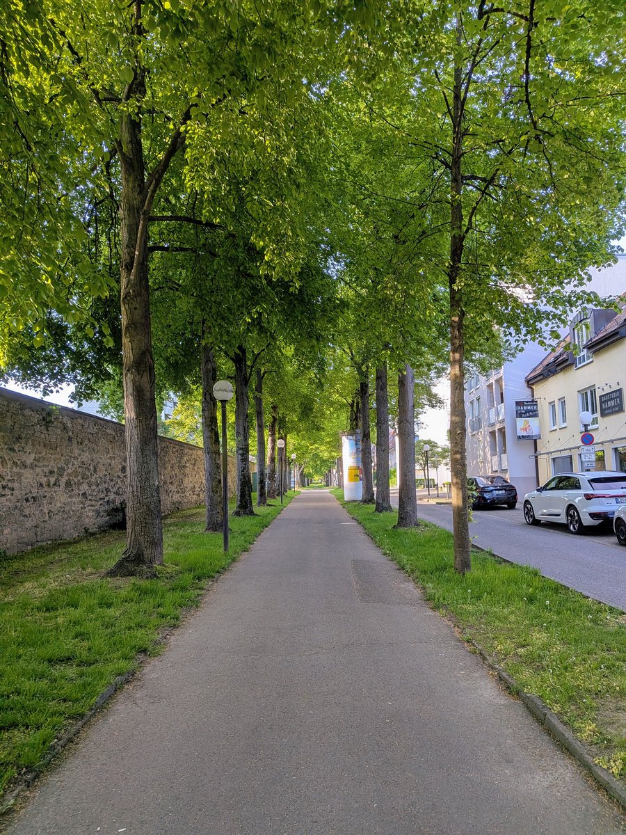 X. Brawne Lamia tweet media