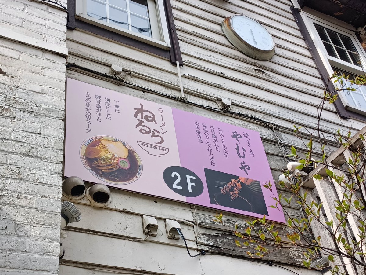 井越有紀 Yuki Ikoshi tweet media