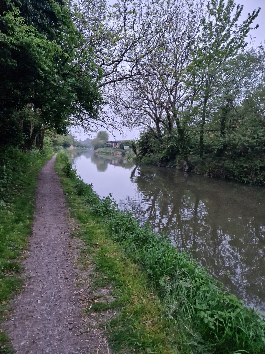 tracehodge17's tweet image. Yay for #humpdayeve already &amp;amp; a quieter work day!!  Legs a little more achy this morn but hardly anything; so just a short run &amp;amp; my normal 3mile canal walk to my bridge to see my friendly swan, heron &amp;amp; ducks!  A tad dribbly though!  #ukrunchat #running #nature #5amclub #marathon