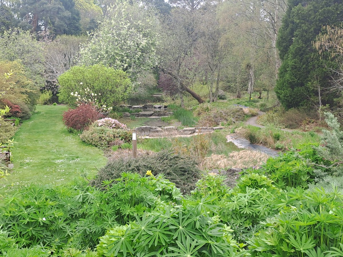 kjhaden17's tweet image. Beautifil Botanical Garden
#standrews #scotland