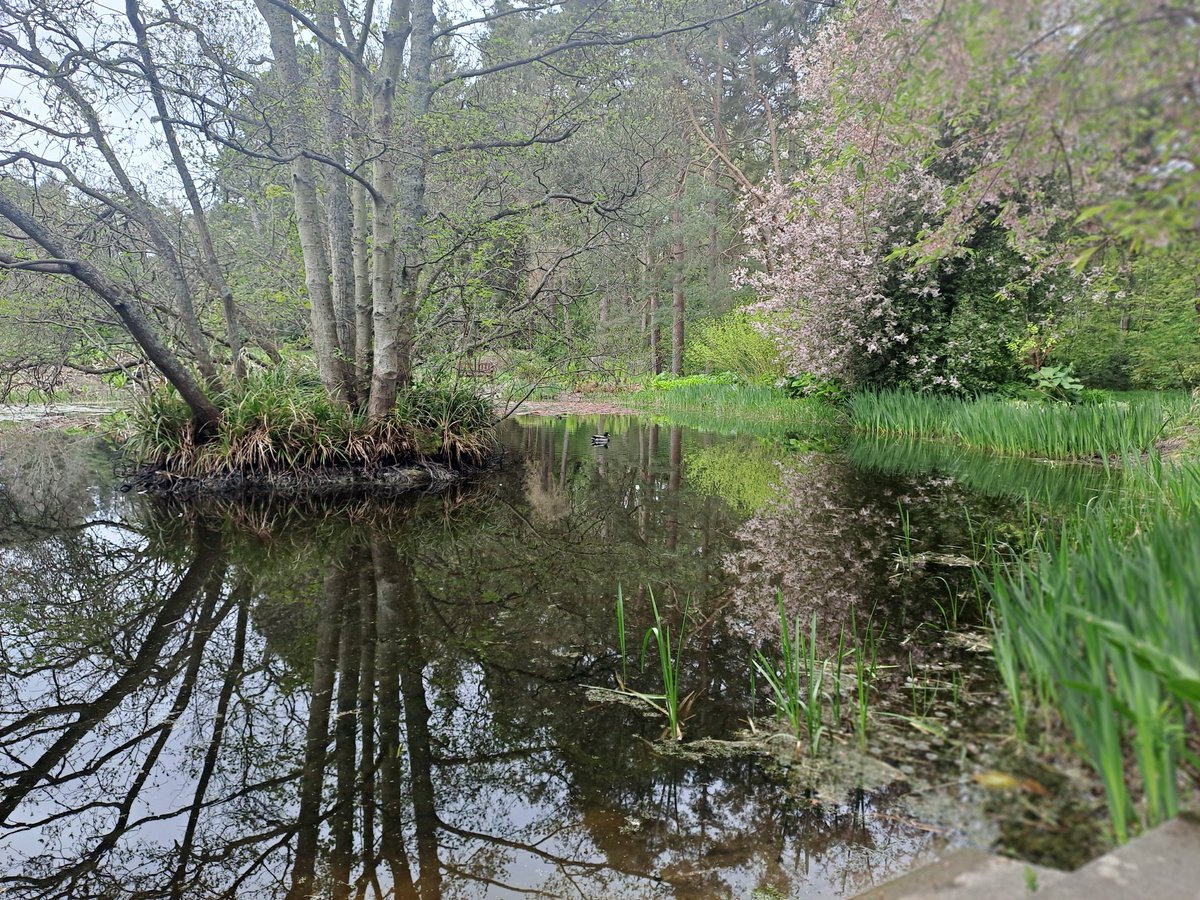 kjhaden17's tweet image. Beautifil Botanical Garden
#standrews #scotland
