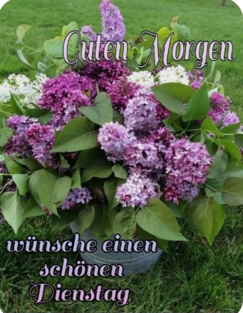 Gúnter G. tweet media