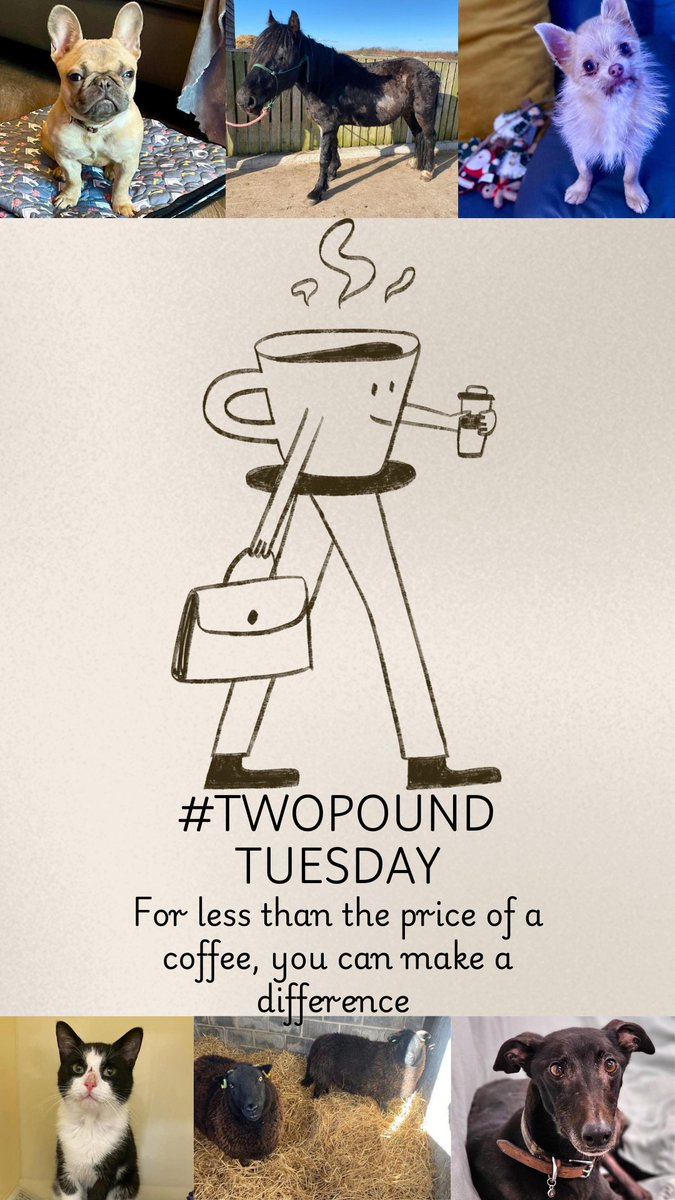 team_greenacres's tweet image. 🐶It’s #twopoundtuesday hosted by Timmy who is still waiting patiently for his forever home (see pinned post)🐶

Help rescue animals with a small donation 💚

Lots of SMALL donations really do add up to make a BIG difference to our animals

🍟🍔☕️Just for today, instead of having