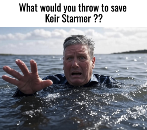 Anti Left Memes tweet media