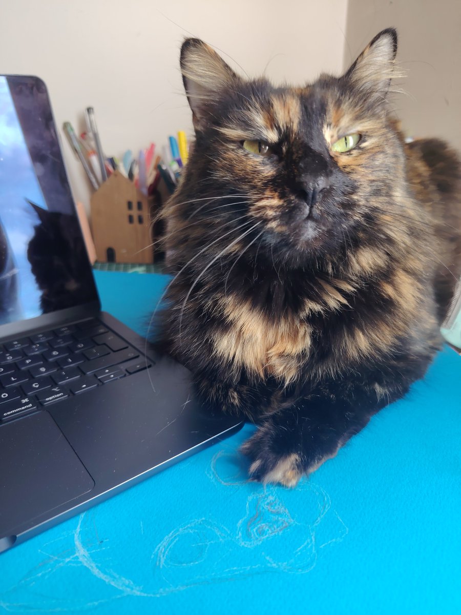 fenalık geldi tweet media