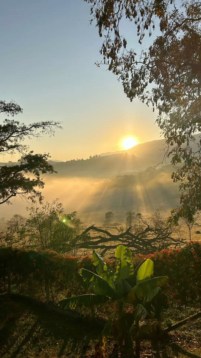 SOG || De Tech guy 🧑‍💻 tweet media