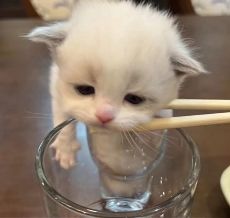 햄♡ㅣ tweet media