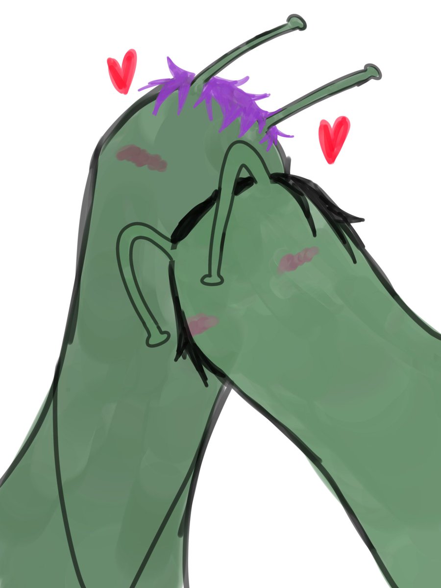 hansitww tweet media