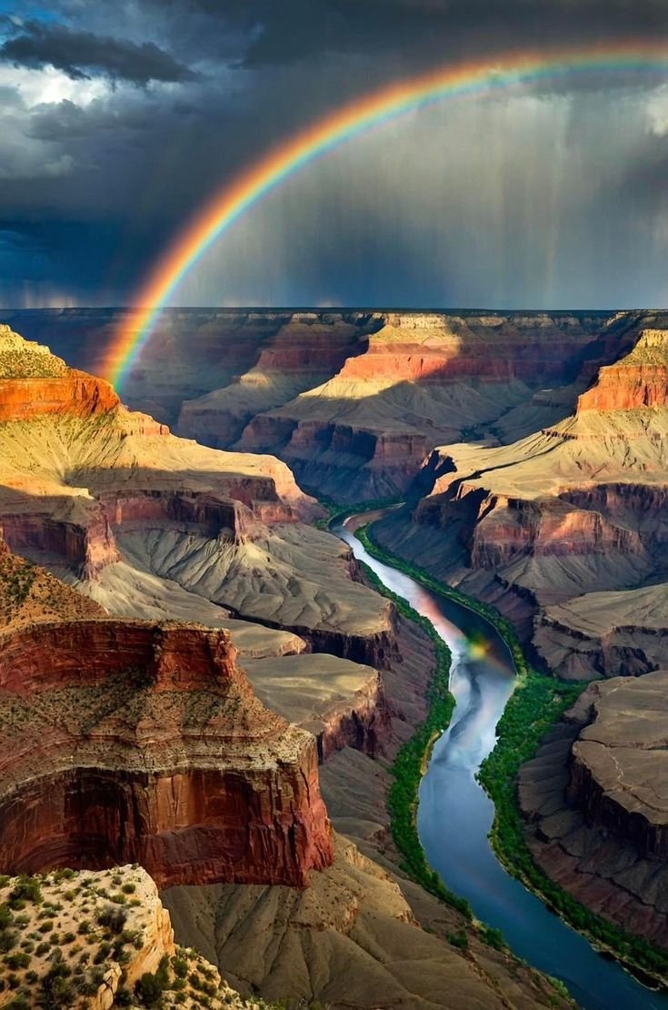 N A T U R E tweet media