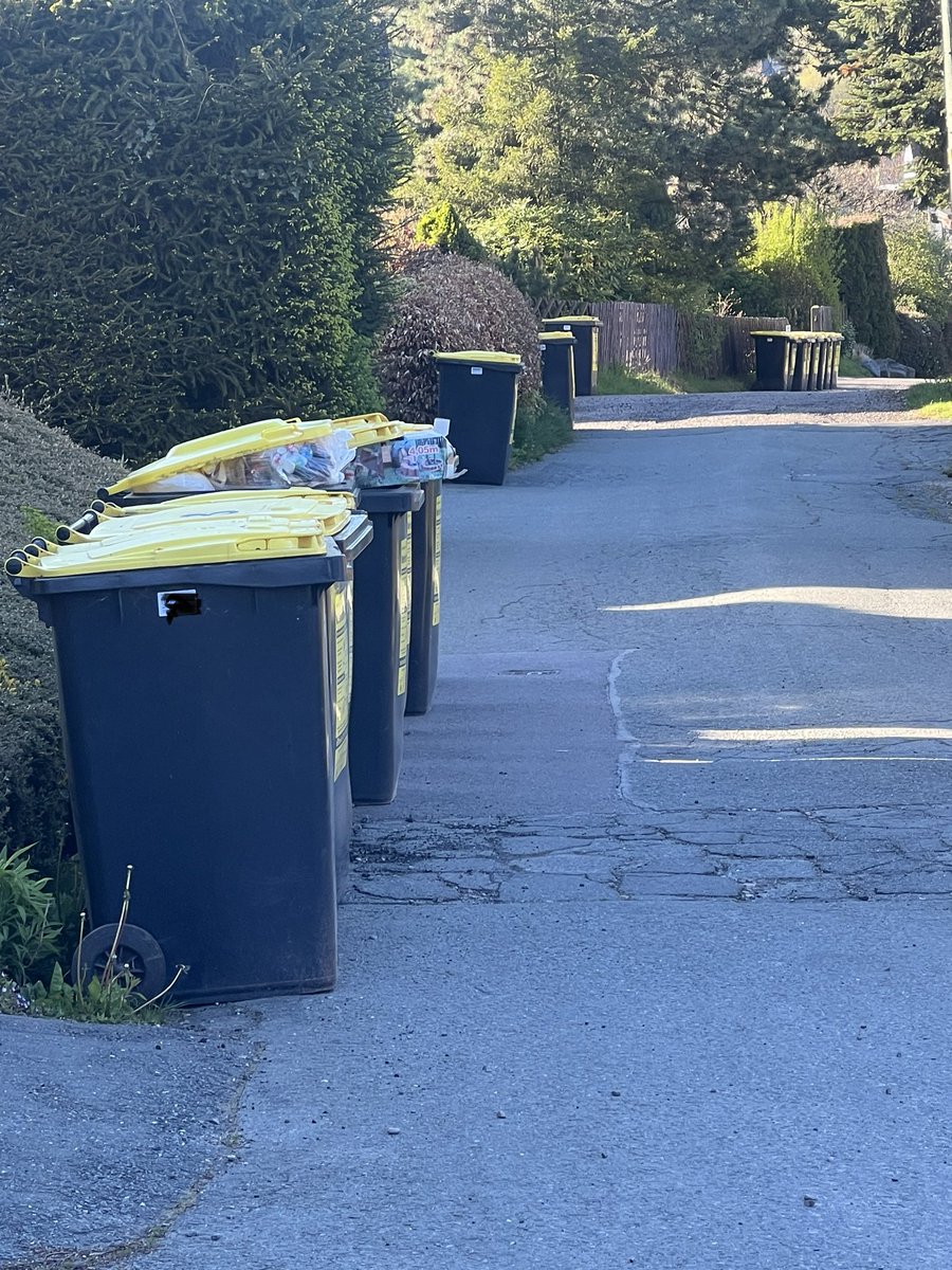 Deitsch on frei wolln mer sei!🇩🇪 tweet media