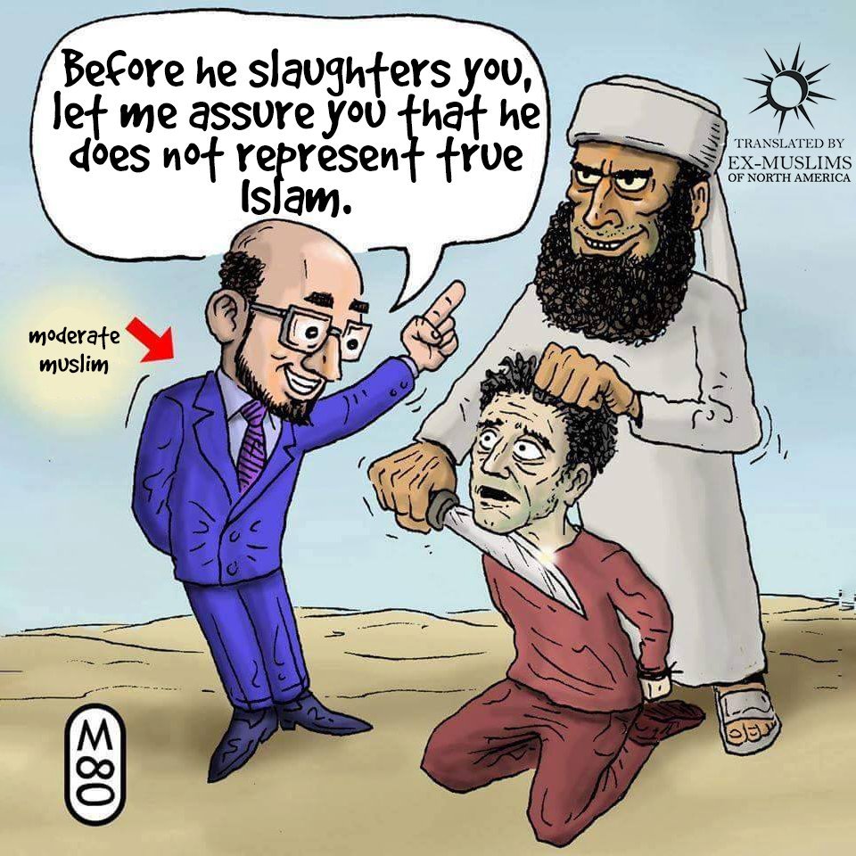 Priyanshu 🇮🇳 tweet media