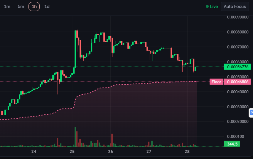 R I S E Alpha tweet media