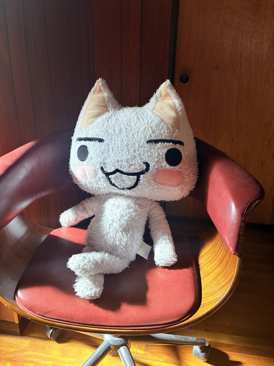 itoro_toro's tweet photo. 木漏れ日があたたかニャ
#どこでもいっしょ https://t.co/j2oMsPPopZ