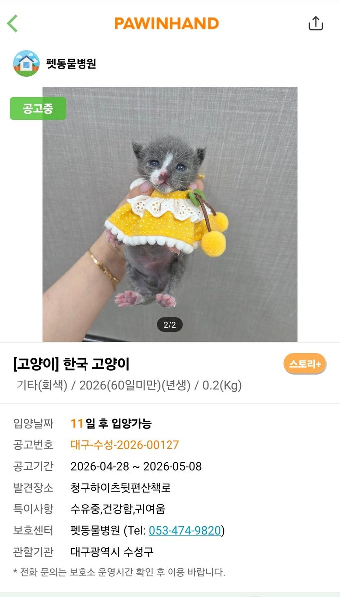 크리스 tweet media