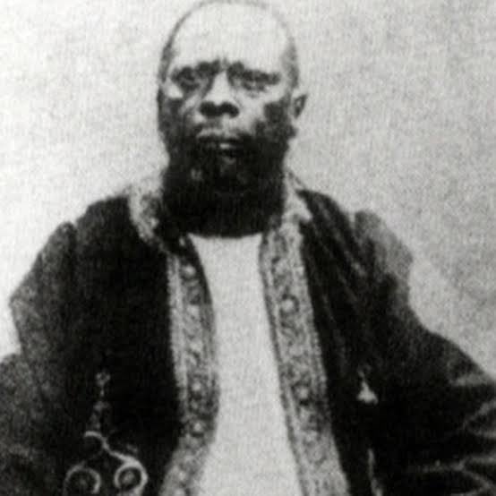 Tribe 56 tweet media