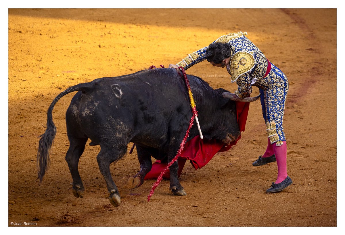 Juan Romero Prieto tweet media