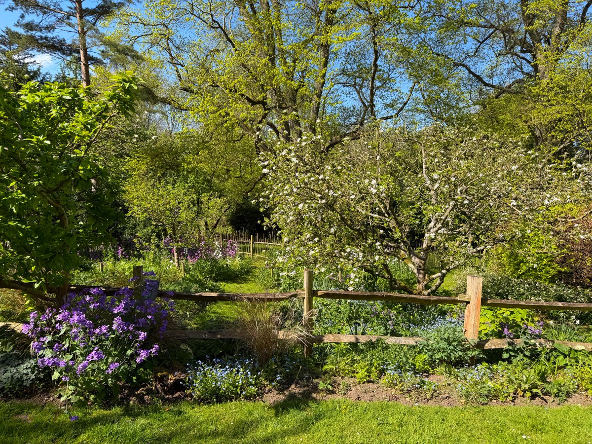 driftwoodbysea's tweet photo. Day 5 of Norfolk holiday, my birthday last week, we visited a wildlife garden, @natsurroundings near Holt with our @GWmag #gw2for1 card https://t.co/NG9dTDL46L