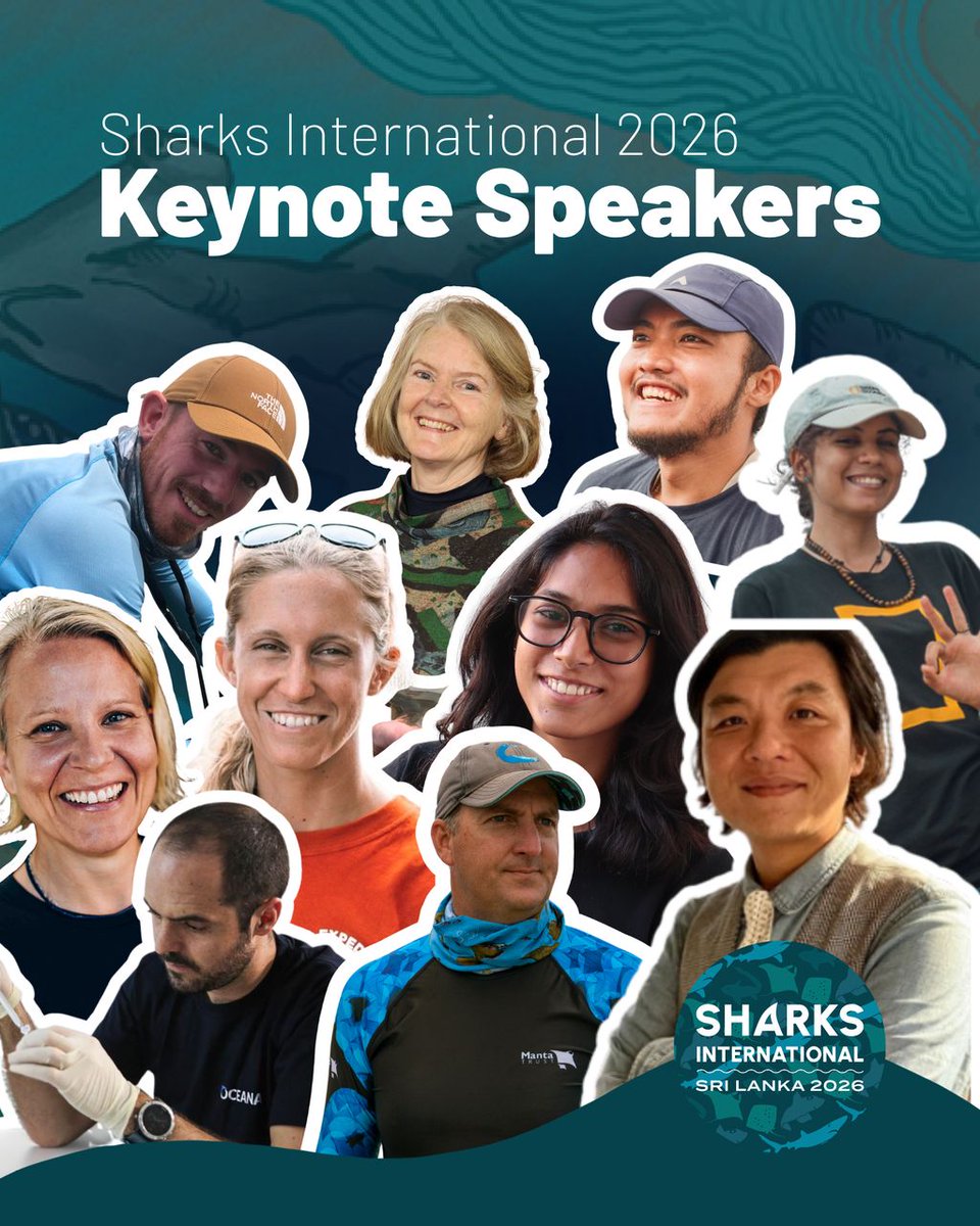 Sharks International 2026 tweet media
