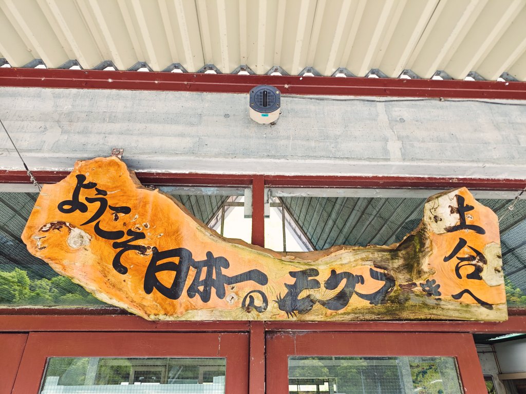 おむらいす☆王子 tweet media