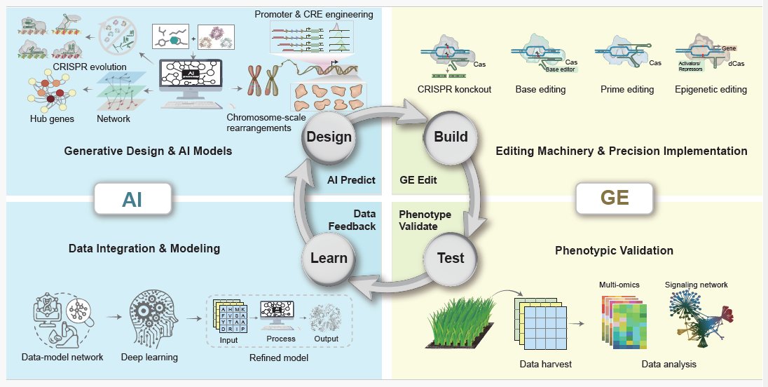 MPlantPCom's tweet image. Synergizing Genome Editing and Artificial Intelligence for Predictive Crop Design #perspective #MolecularPlant cell.com/molecular-plan…