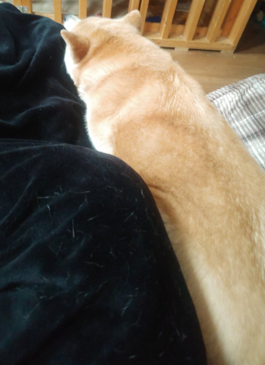 From NANIMONO tweet media