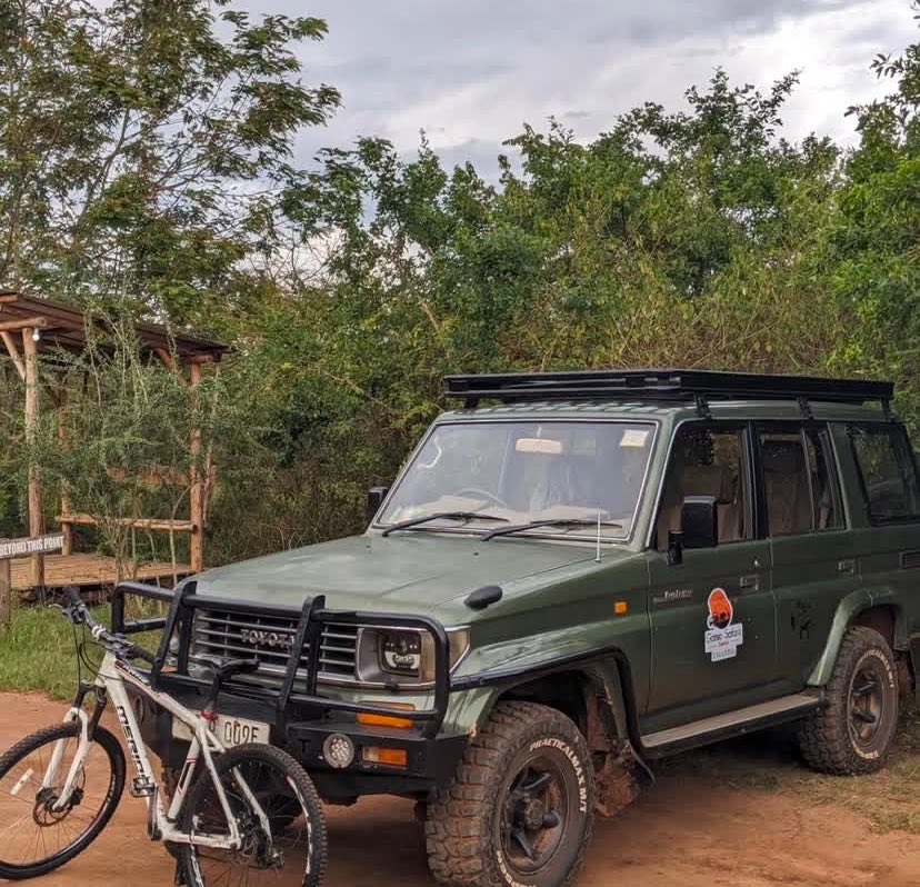 Gatsiosafariz tweet media