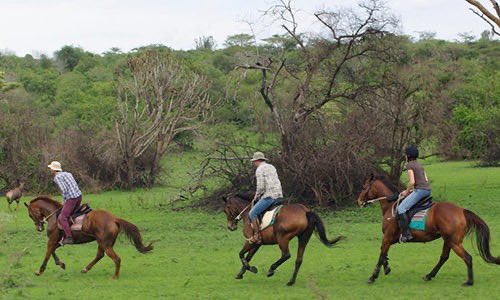Gatsiosafariz tweet media