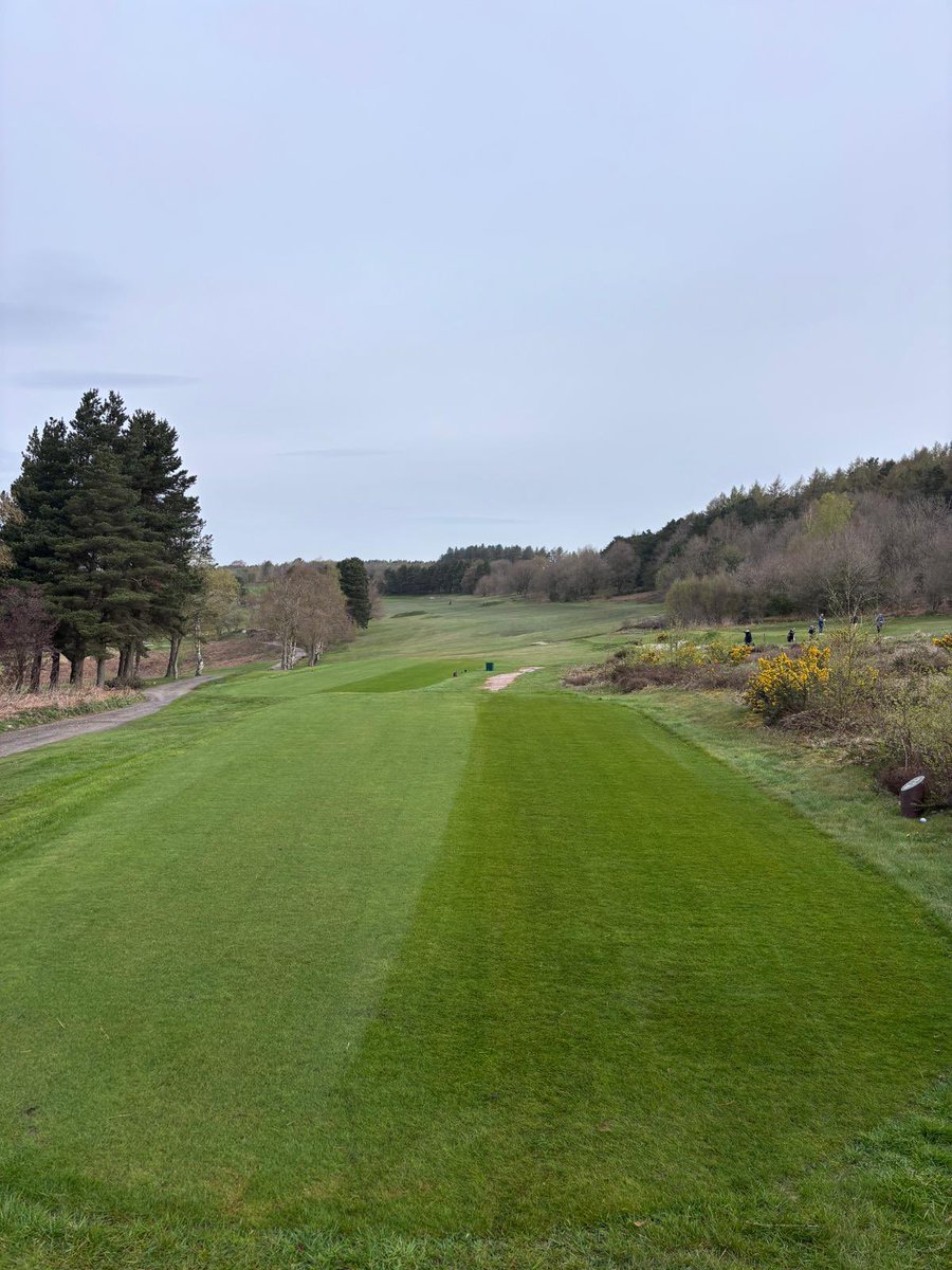 Matlock Golf Club tweet media
