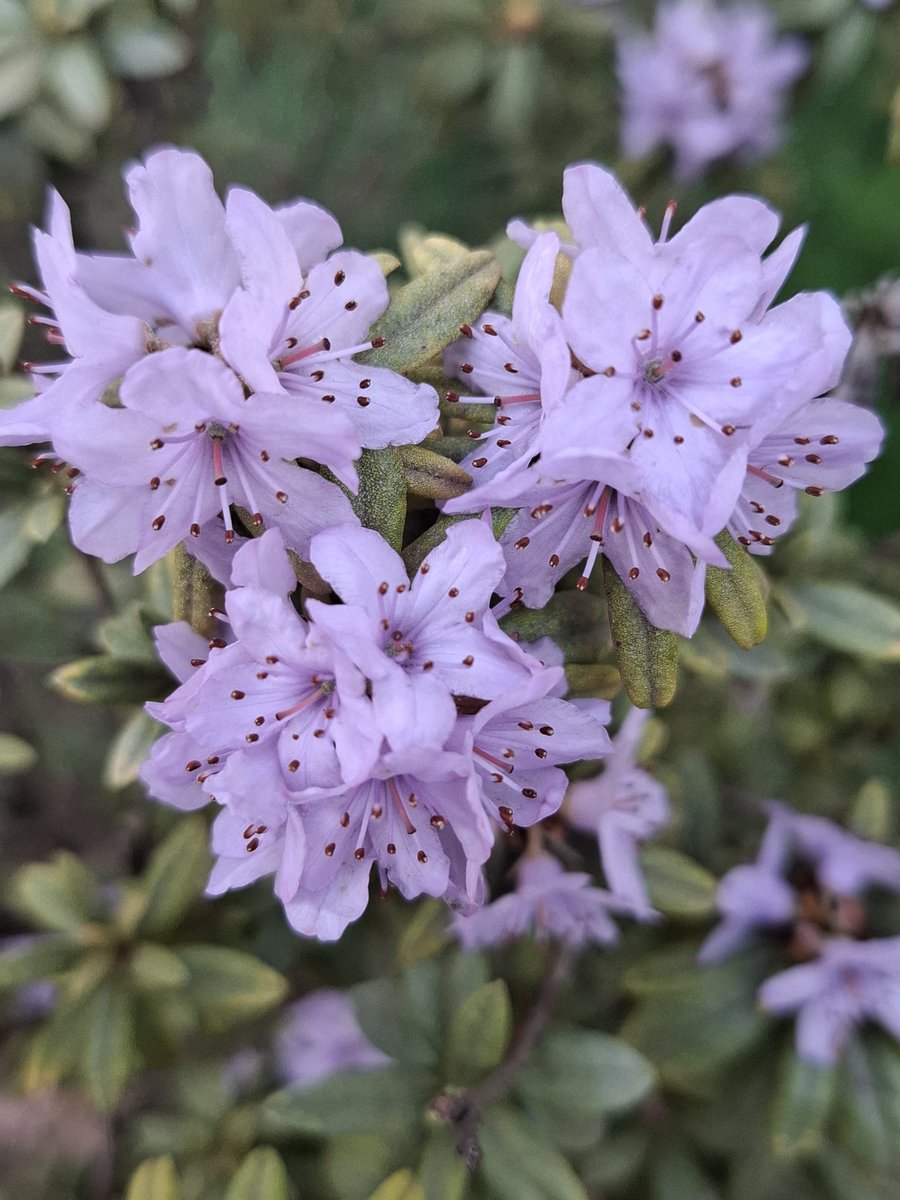 lost in the dream🦋7TH YEAR🤍 tweet media