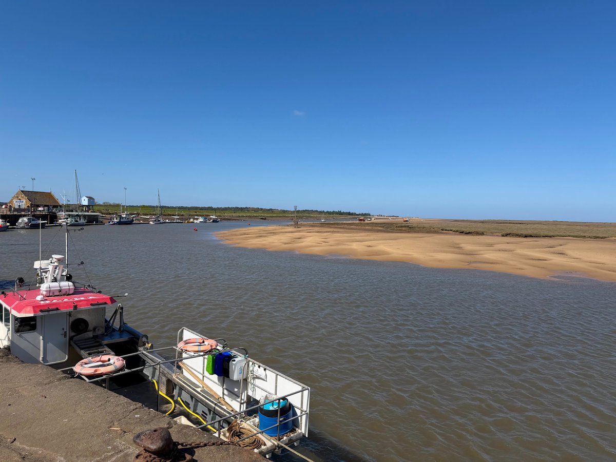 Driftwood By Sea tweet media