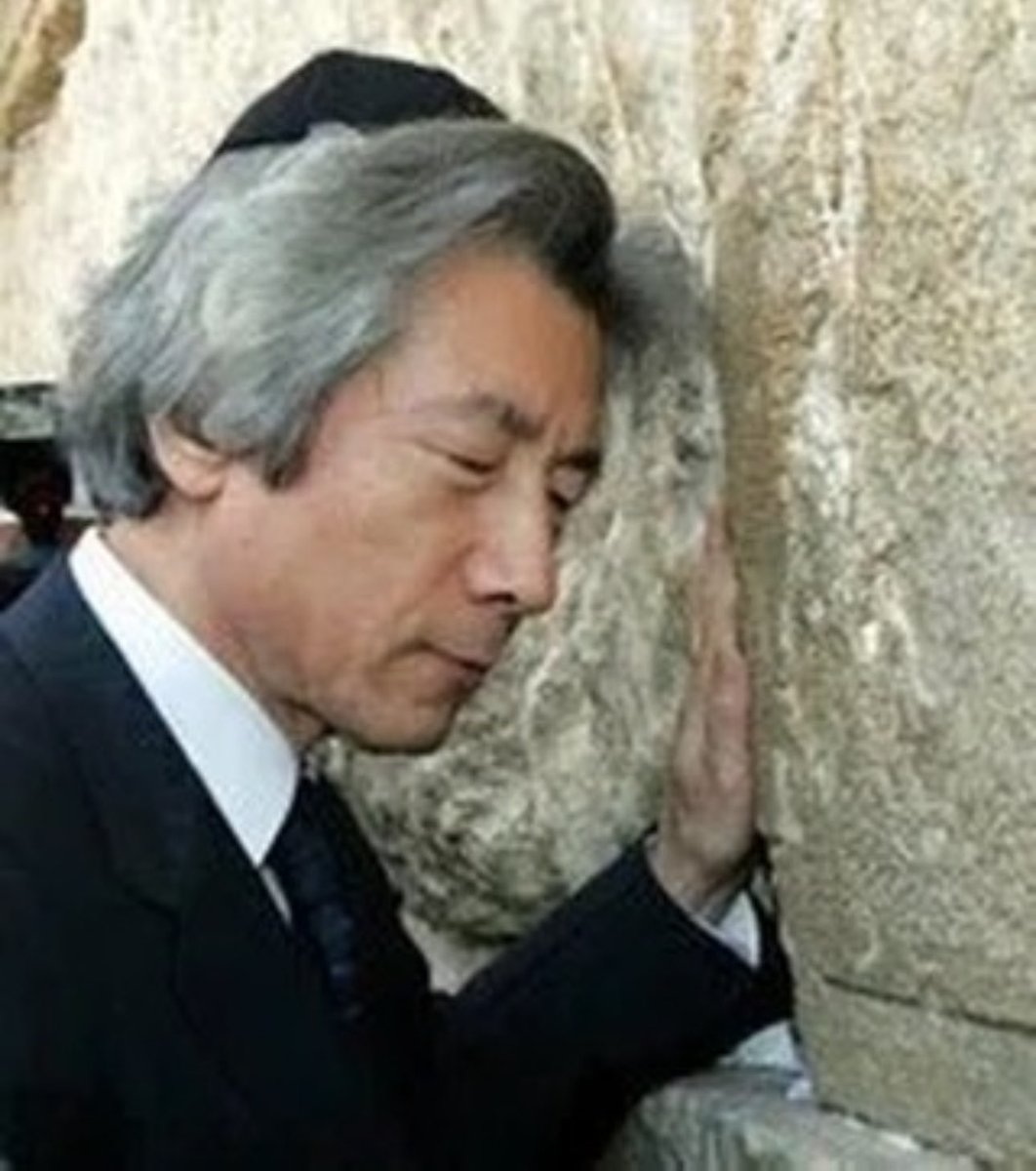 Kumashun🇯🇵🐻💎 tweet media