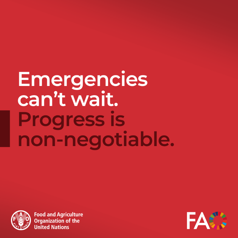 FAO in Emergencies tweet media