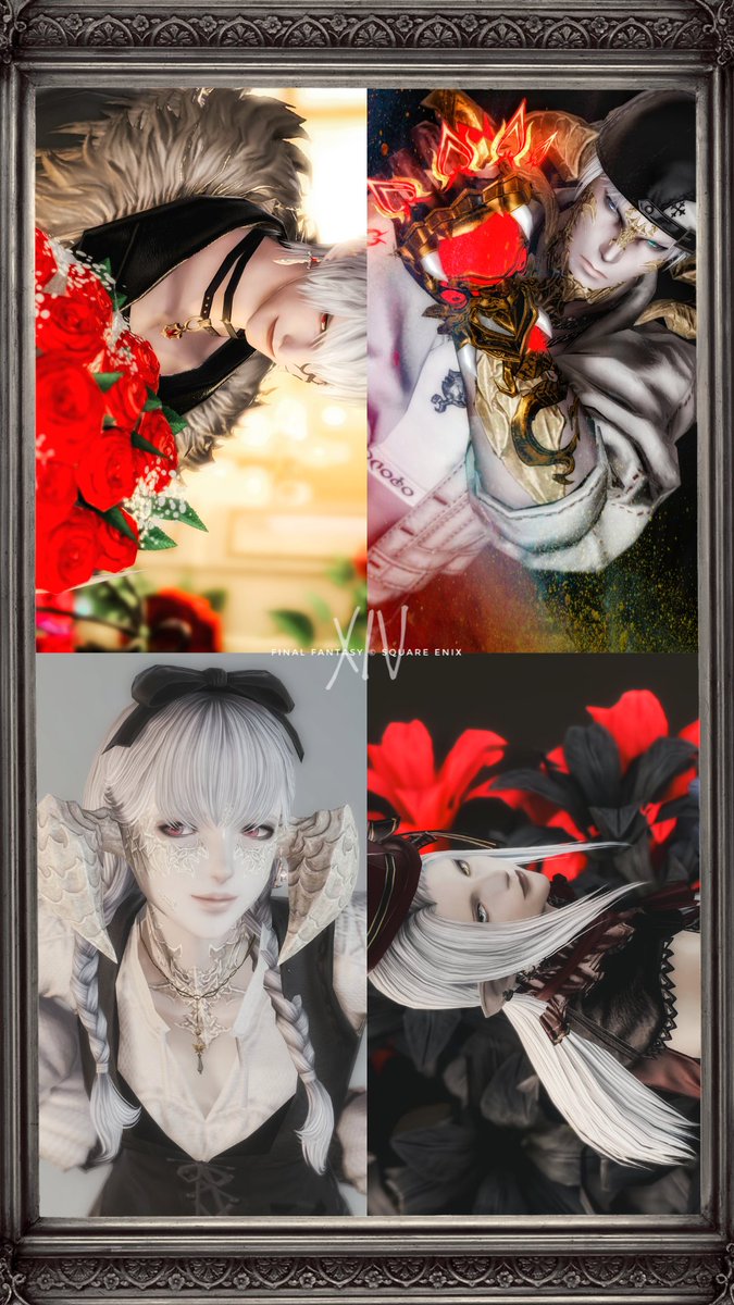 𝐴𝑦𝑢𝑚 𝐸𝑛𝑐𝑖𝑒𝑙｡ଘ✟໒꒱·゜ tweet media