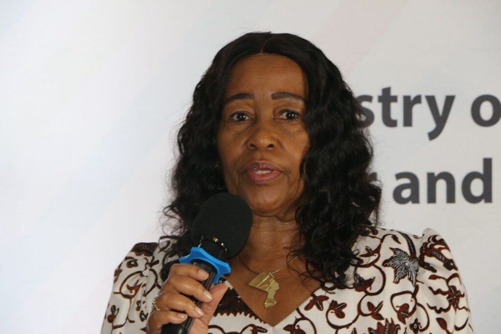 The Namibian tweet media