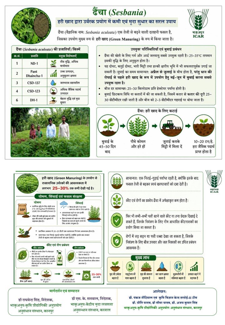 CSSRIpub's tweet photo. ढैंचा (Sesbania) – हरी खाद का सबसे सस्ता और असरदार उपाय 
प्रिय किसान भाइयों एवं बहनों 
🌾 आइए, ढैंचा अपनाएं और टिकाऊ खेती की ओर कदम बढ़ाएं। 
#ICAR #BalancedFertiliserUse #greenmanure #संतुलितउर्वरकउपयोग https://t.co/isxP3KclXi