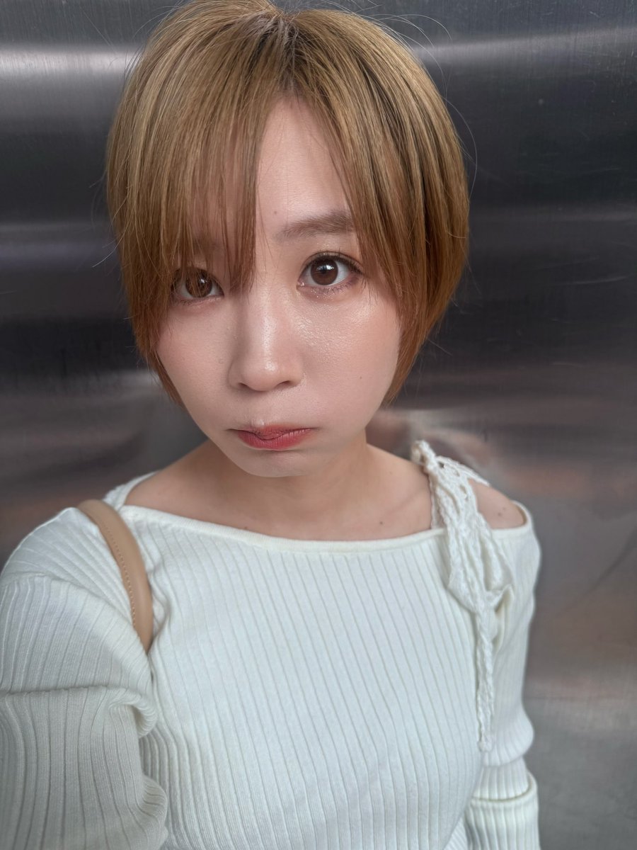 モモコグミカンパニー tweet media