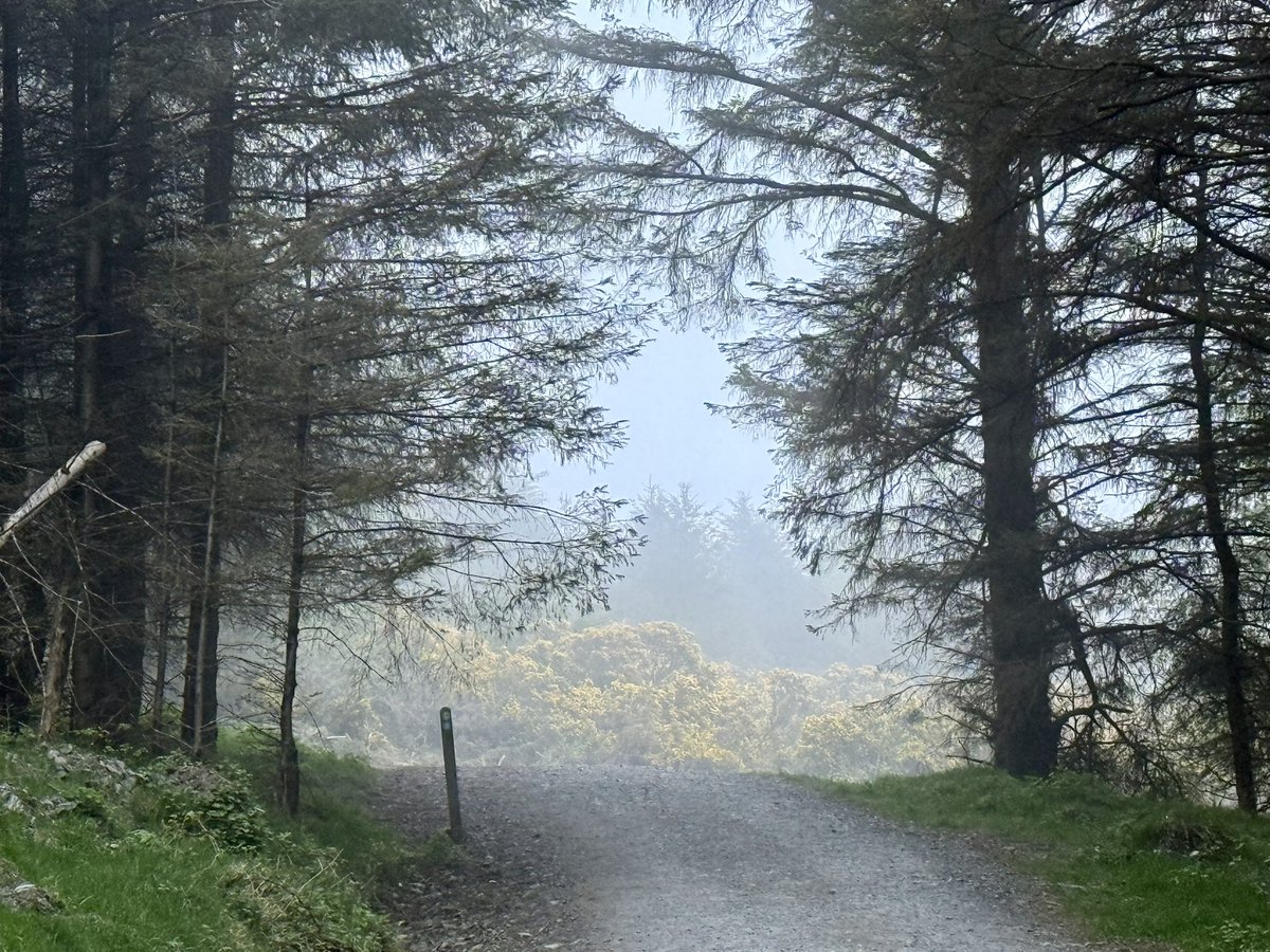 SavetheHellfire's tweet image. Tuesday morning views at the Hellfire #sunrise #weather