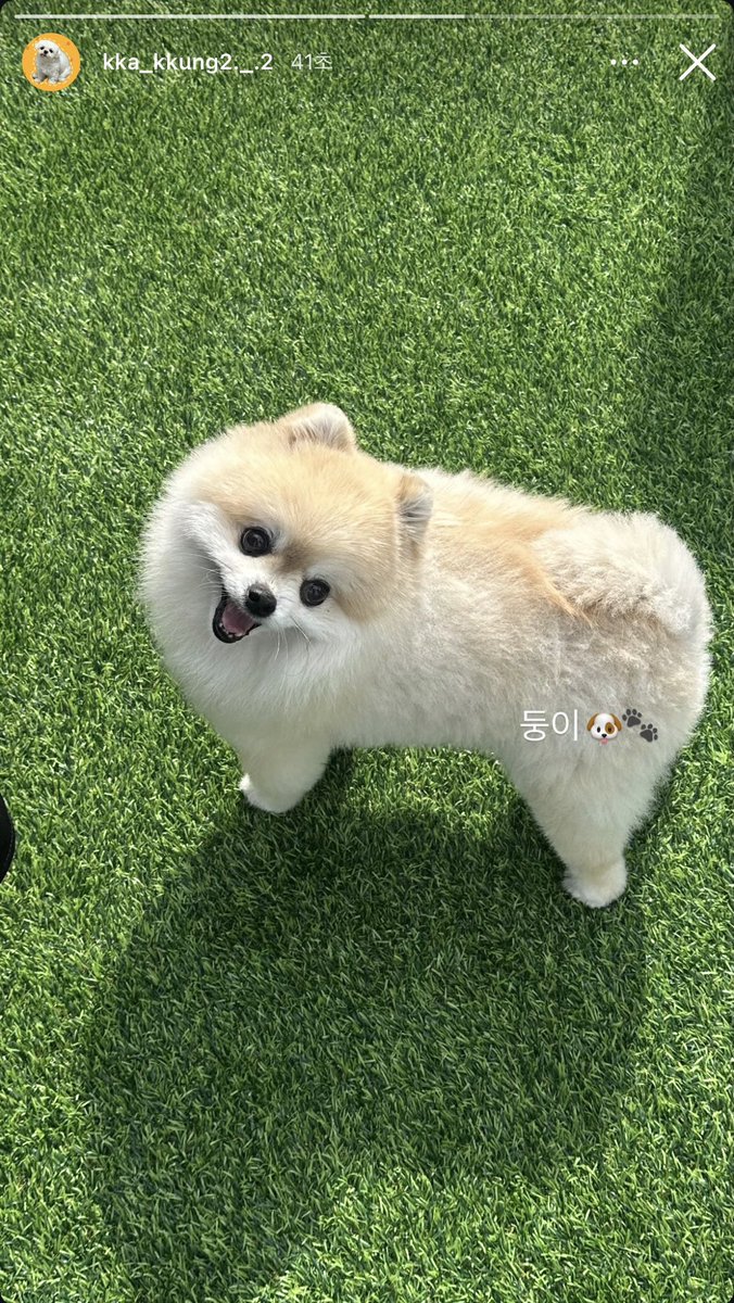 까꿍이랑 둥이랑 만났나 본데?!