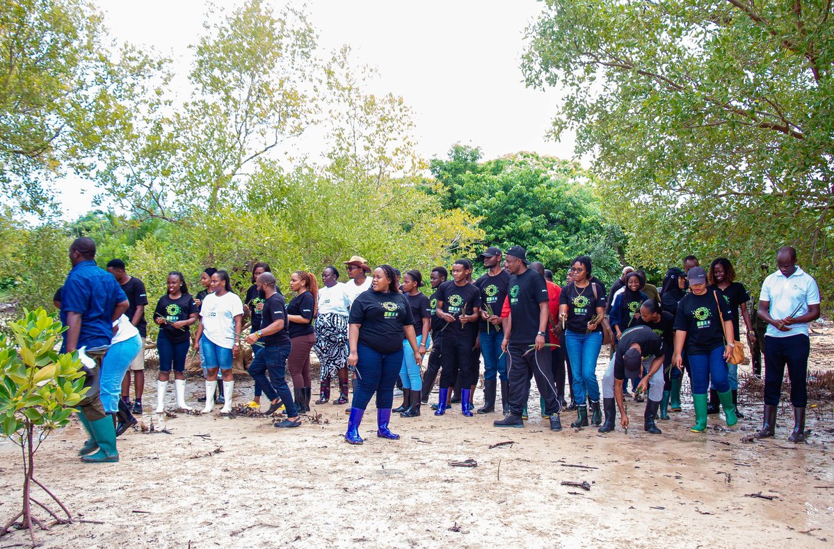 DeloitteTz's tweet image. This Earth Day, the Deloitte Tanzania office demonstrated incredible commitment to our planet by planting 21,000 mangrove trees and cleaning over 3 hectares of beach in just one weekend. Congratulations to everyone involved for making a real difference!

#EarthDay #Teamwork