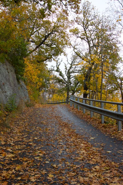 Eric Pugh tweet media