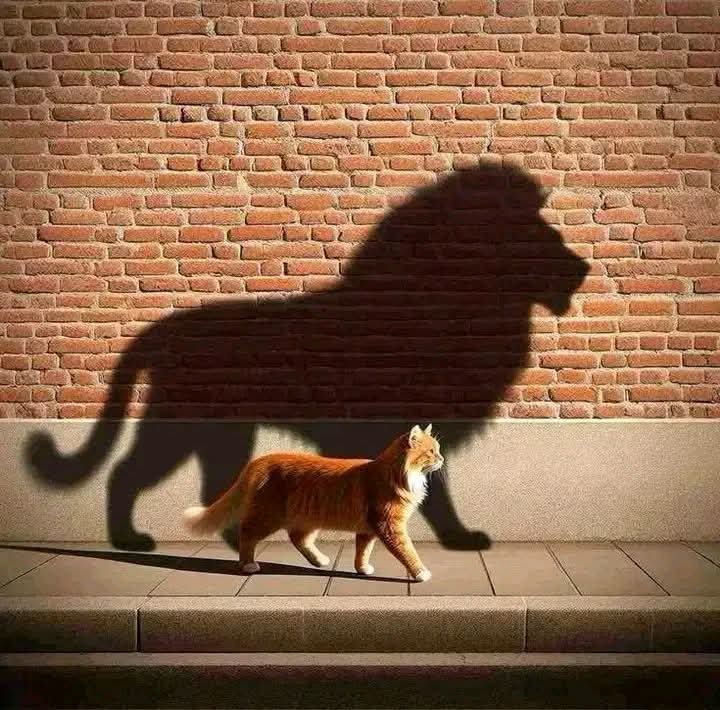 ObaEdo_1's tweet photo. Build a real relationship with God not just when you need something, but because you need guidance, strength, and peace through life.
You can’t do life without God https://t.co/kHu194Ks02