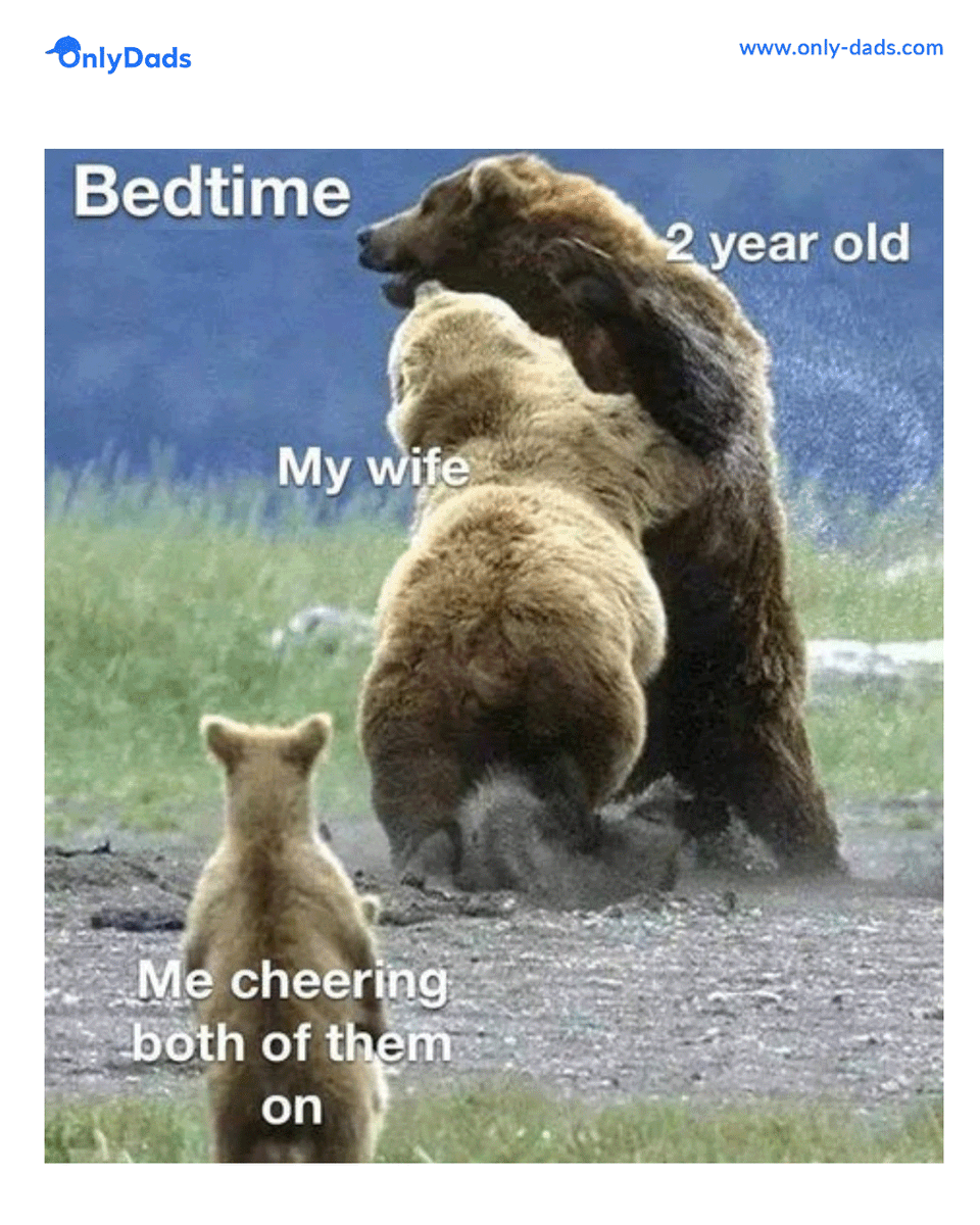 Only Dads tweet media